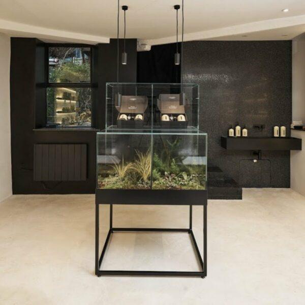 Custom Floor Standing Glass Terrarium Display | Luminati