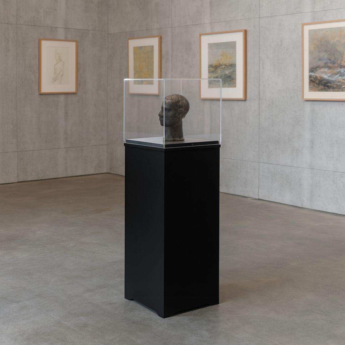 Museum Display Case Plinth