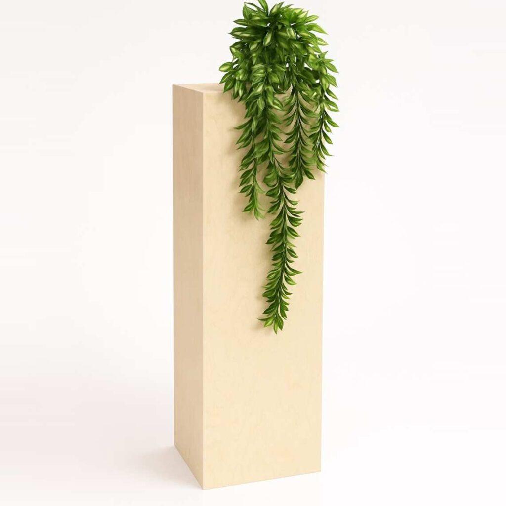 A plywood plinth with a hanging plant draping down.