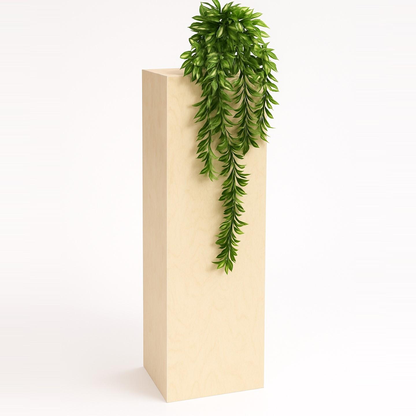 A birch plywood plinth with a plant on the top.